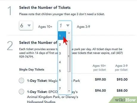 Etapa 4 da compra de ingressos para a Disney World