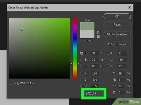 รับรหัสสี Hex บนหน้าจอคอมพิวเตอร์ของคุณ ขั้นตอนที่ 12