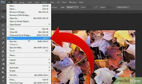 Kombinirajte dvije slike u Adobe Photoshopu Korak 6