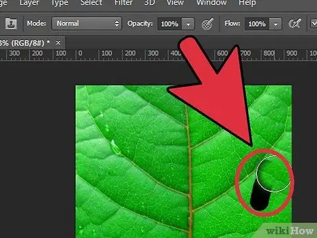 Eliminar un elemento en Photoshop Paso 6