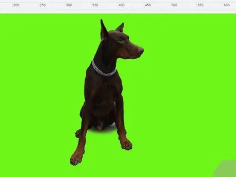 Използвайте Greenscreen на Windows Movie Maker Стъпка 1