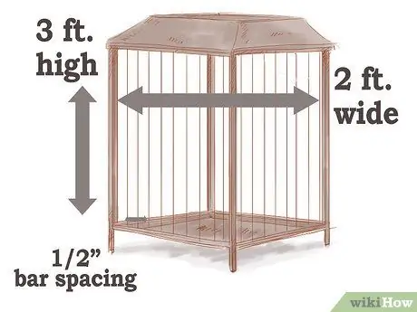 Chăm sóc tàu lượn đường Bước 1