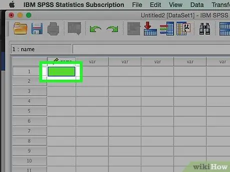 Ma'lumotni SPSS 3 -bosqichga kiriting