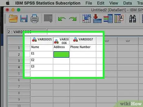 Introduïu dades al pas 4 de SPSS