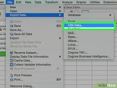 Ange data i SPSS Steg 8