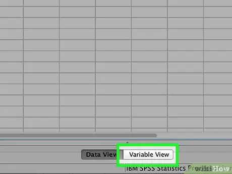 Insira os dados no SPSS Etapa 2