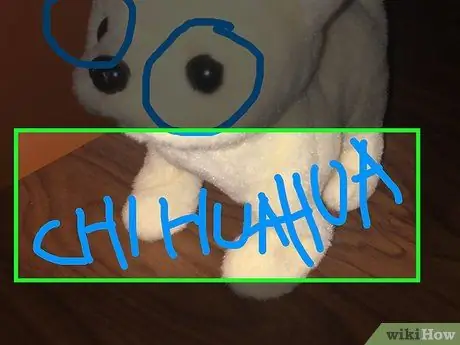 Crtanje na Snapchatu Korak 11