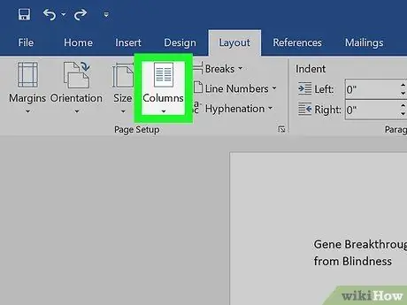 Feu un diari al Microsoft Word Pas 9