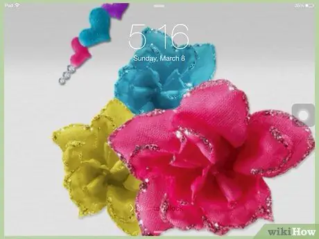 Baguhin ang Background ng Home Screen sa isang iPad Hakbang 10