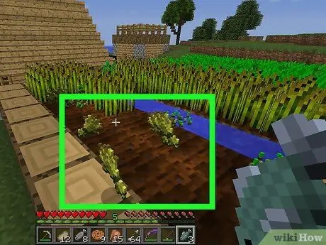 Makan di Minecraft Langkah 11