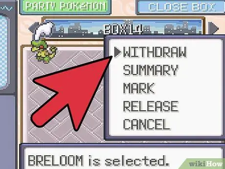 Klon Pokemon di Emerald Langkah 4