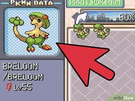 Pokemon Klon di Emerald Langkah 7