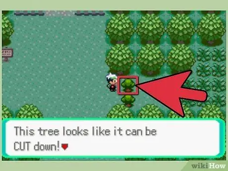 Cắt Pokemon Emerald Bước 4