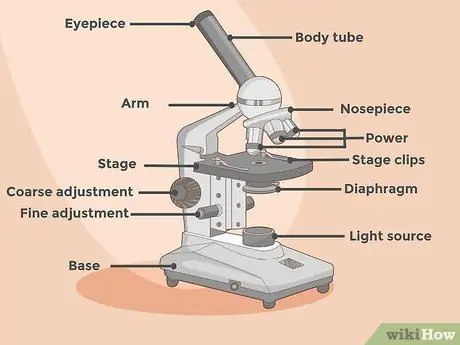 Utilizați un microscop Pasul 1