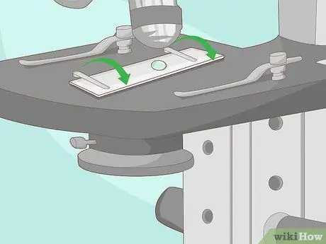 Utilice un microscopio Paso 8