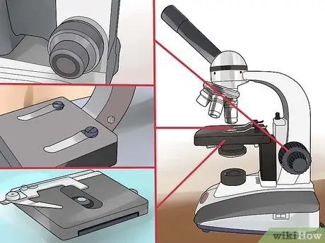 Gebruik een samengestelde microscoop Stap 5