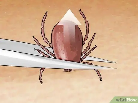 Kill a Tick Step 1