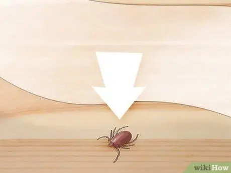 Kill a Tick Step 2