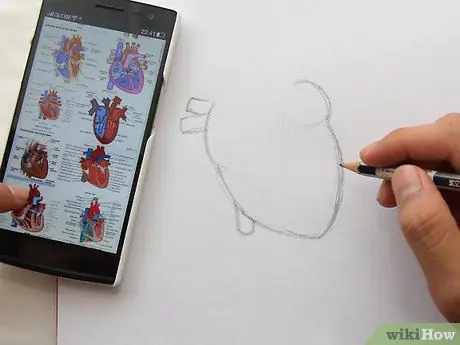 Draw the Internal Structure of the Heart Step 5