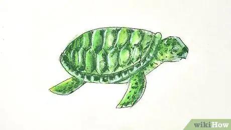 Dessiner une tortue Étape 19