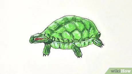 Menggambar Turtle Langkah 27