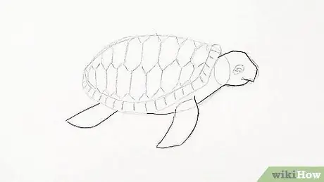 Menggambar Turtle Langkah 16