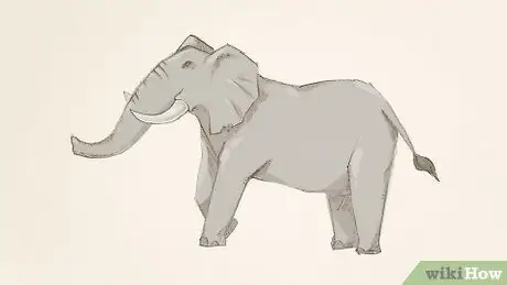 Dessiner un éléphant Étape 18