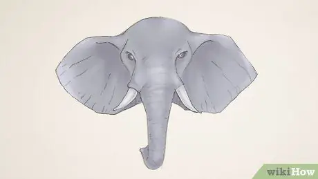 Dibuixa un pas elefant 24