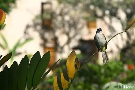 একটি ডিজিটাল ফটো ধাপ 3 নিন