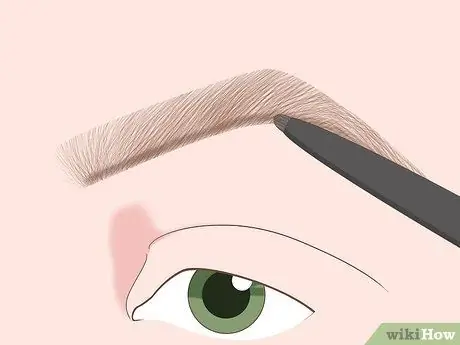 Fade Eyebrows Paso 7