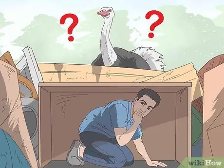 Survive an Encounter with an Ostrich Step 2