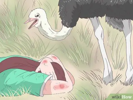 Survive an Encounter with an Ostrich Step 5