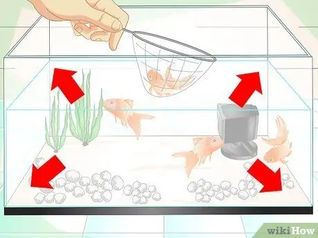 Keep Aquarium Water Clear Step 11