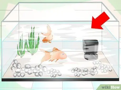 Keep Aquarium Water Clear Step 9