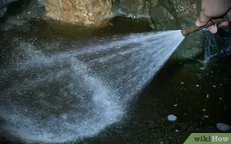 Clean a Koi Pond Step 2