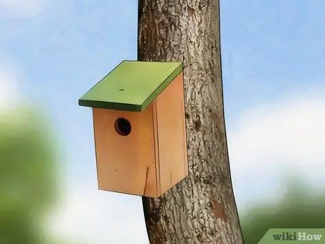 Menarik Burung Langkah 9