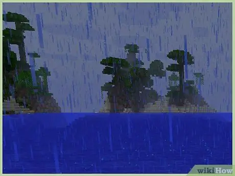 Ikan di Minecraft Langkah 2