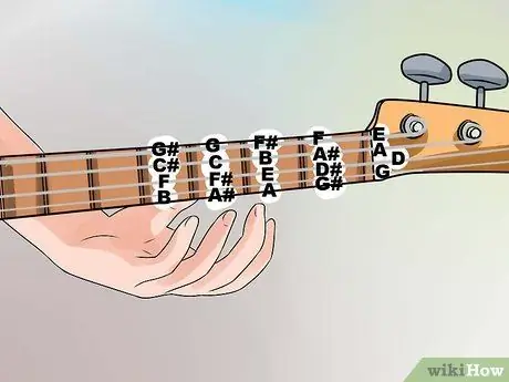 Aprende a tocar el bajo Paso 8