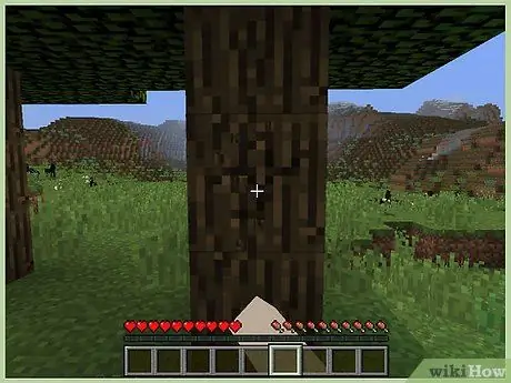 Minecraft'ta Araçlar Yapın 16. Adım