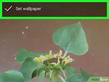 Tetapkan Wallpaper pada Foto Google pada Android Langkah 7