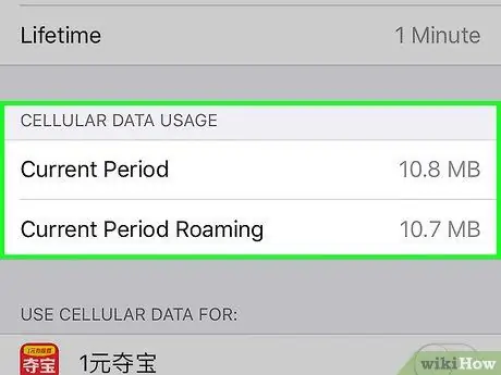 Suriin ang Paggamit ng Data sa isang iPhone Hakbang 3