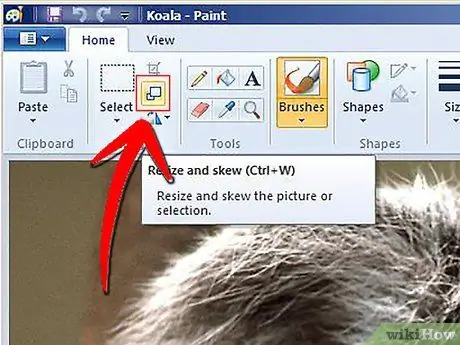 Easily Resize Photos in Windows XP Step 13