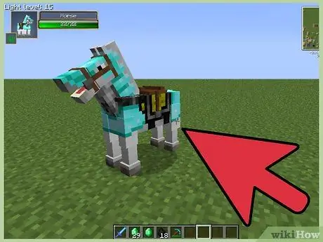 Maghanap ng isang Saddle sa Minecraft Hakbang 22