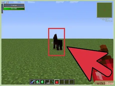 Maghanap ng isang Saddle sa Minecraft Hakbang 23