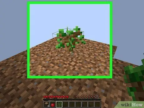 Juega SkyBlock en Minecraft Paso 11