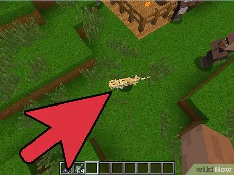 Aconsegueix una mascota Minecraft Pas 2