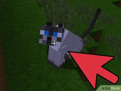 Obtenez un animal de compagnie Minecraft Étape 5