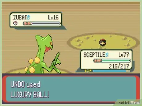 Kry Crobat in Pokemon Emerald Stap 6