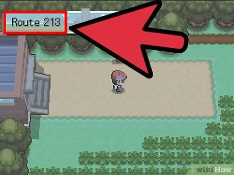 Evolves Eevee σε Pokemon Platinum Βήμα 2