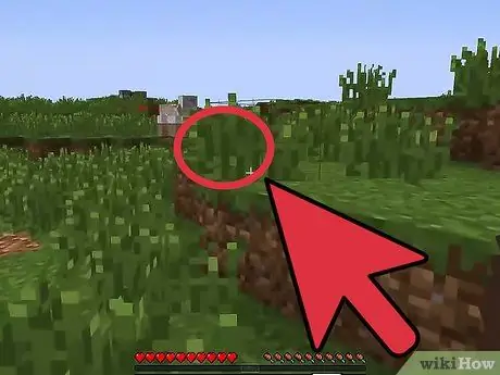 Minecraft Adım 11'de Makas Yapın